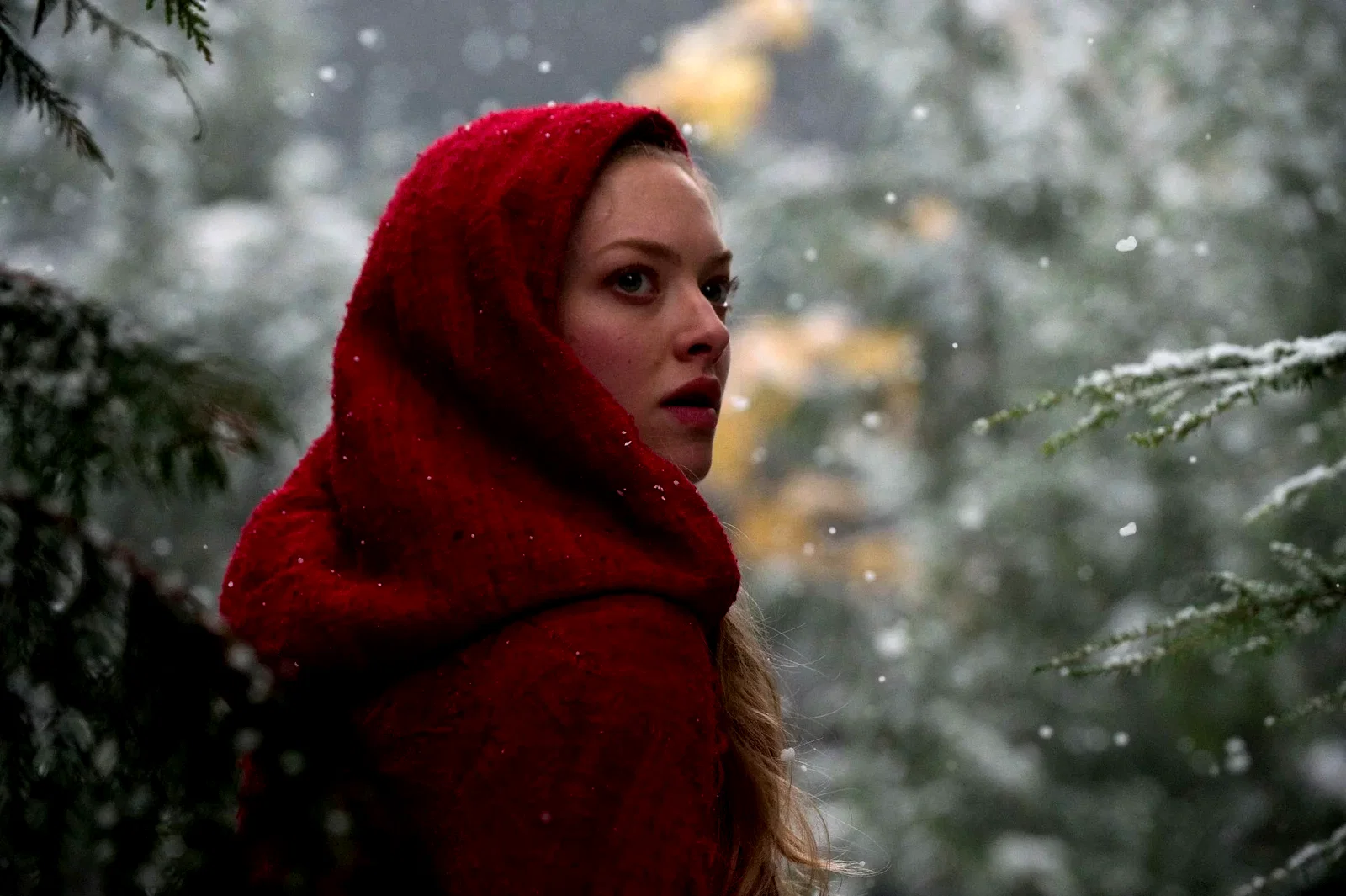 Photo 18 du film : Le  Chaperon rouge