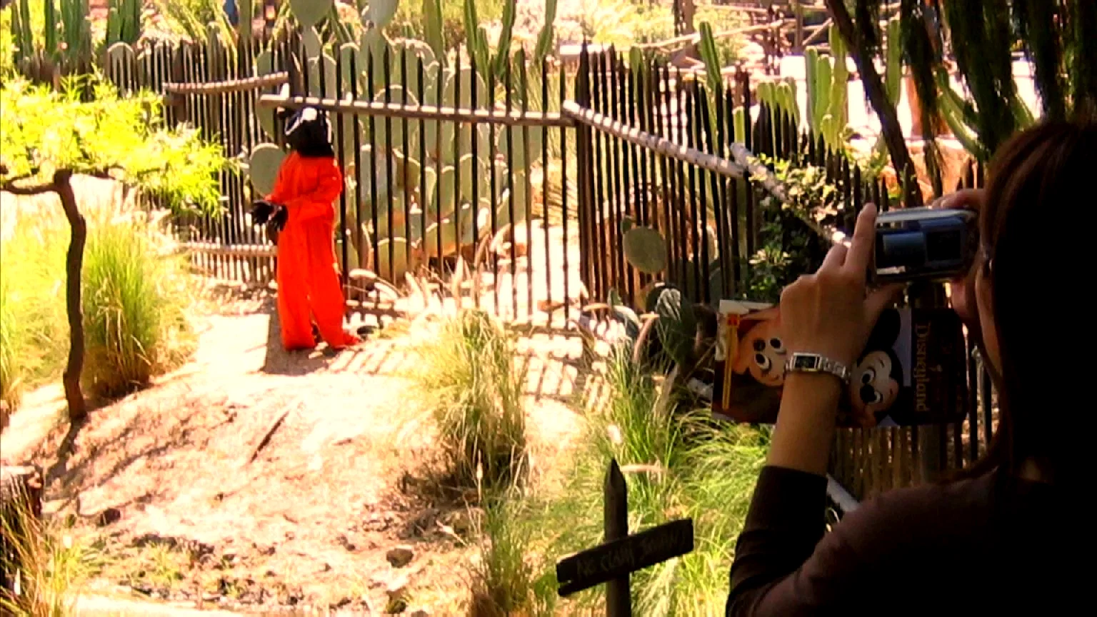 Photo 6 du film : Faites le mur !