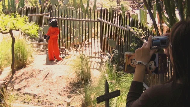Photo 6 du film : Faites le mur !