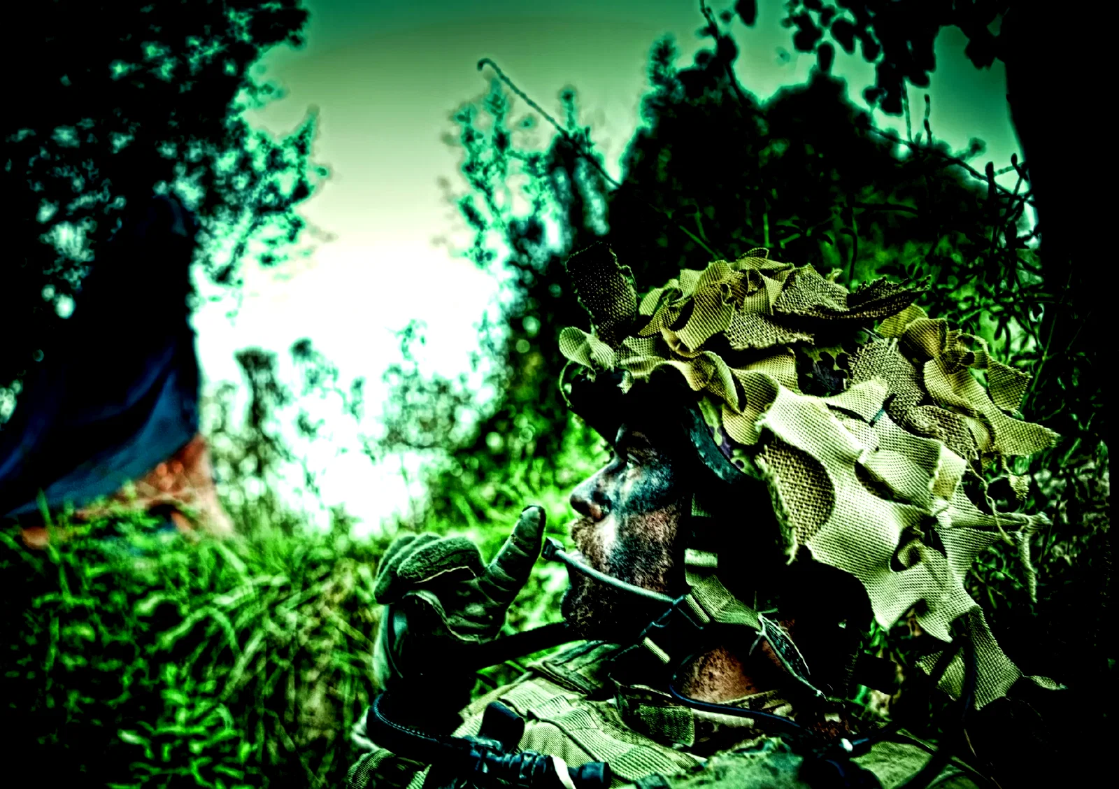 Photo 9 du film : Armadillo