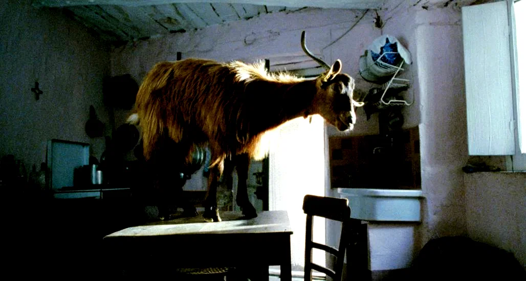 Photo 2 du film : Le Quattro volte
