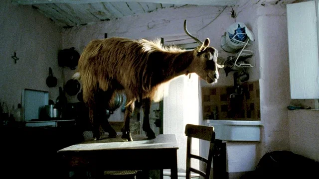 Photo du film : Le Quattro volte