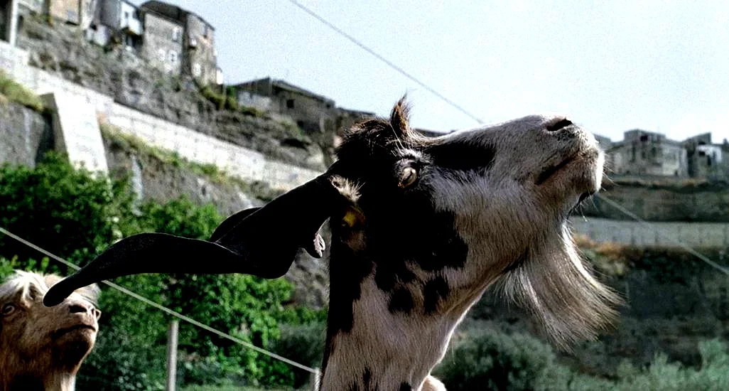 Photo 3 du film : Le Quattro volte