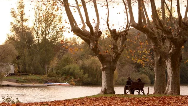 Photo du film : Le fils à Jo