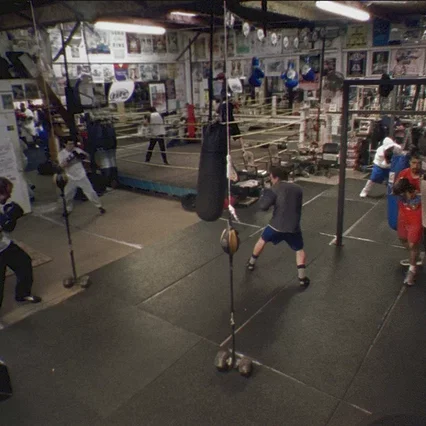 Miniature photo du film : Boxing Gym