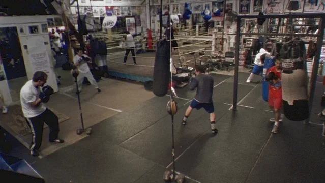 Photo 6 du film : Boxing Gym