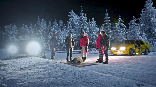 Photo du film : Very cold trip