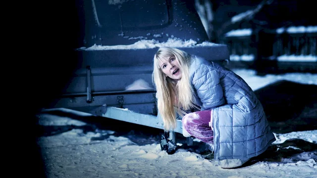 Photo du film : Very cold trip