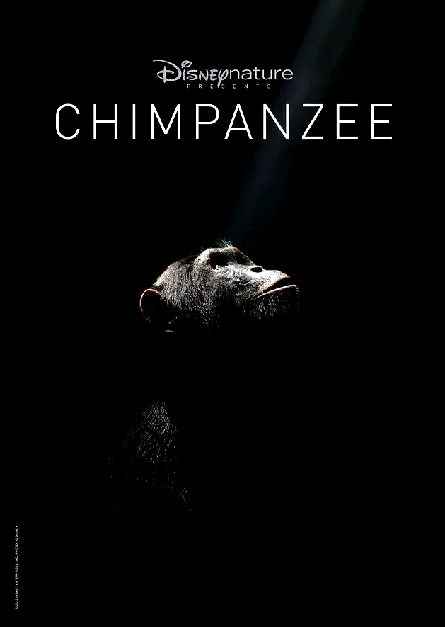 Photo 52 du film : Chimpanzés