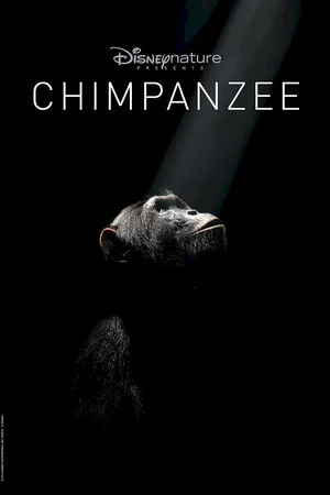 Photo du film : Chimpanzés