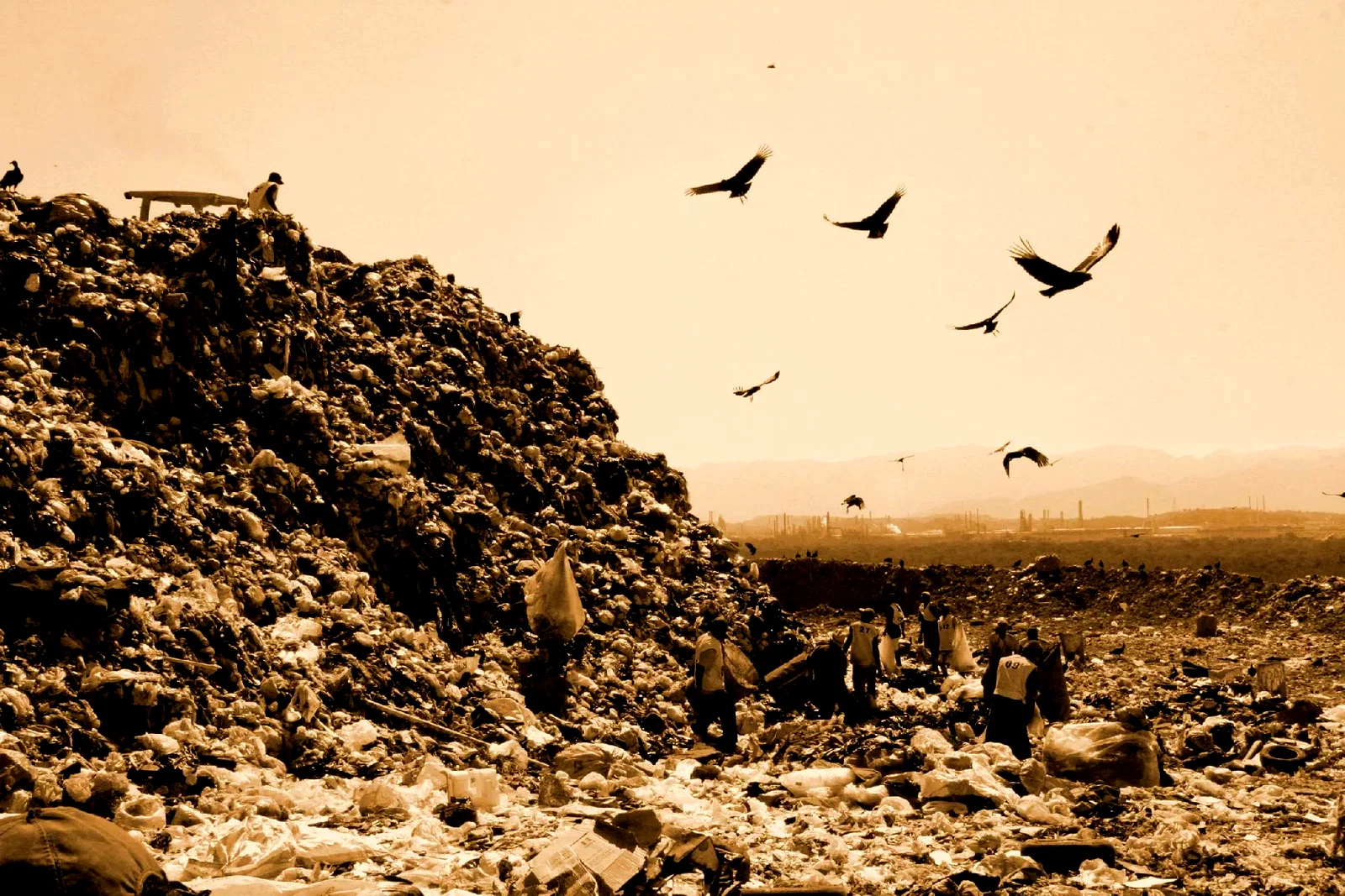 Photo 2 du film : Waste Land