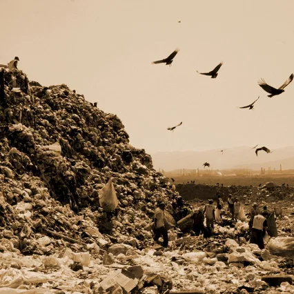 Miniature photo du film : Waste Land