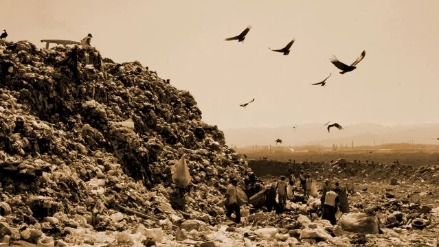 Photo du film : Waste Land