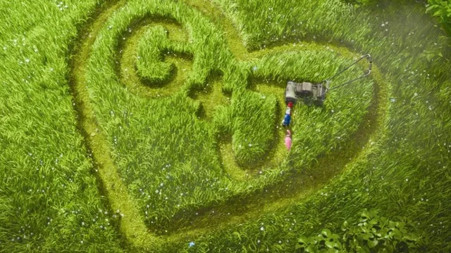 Photo du film : Gnomeo et Juliette (3D)