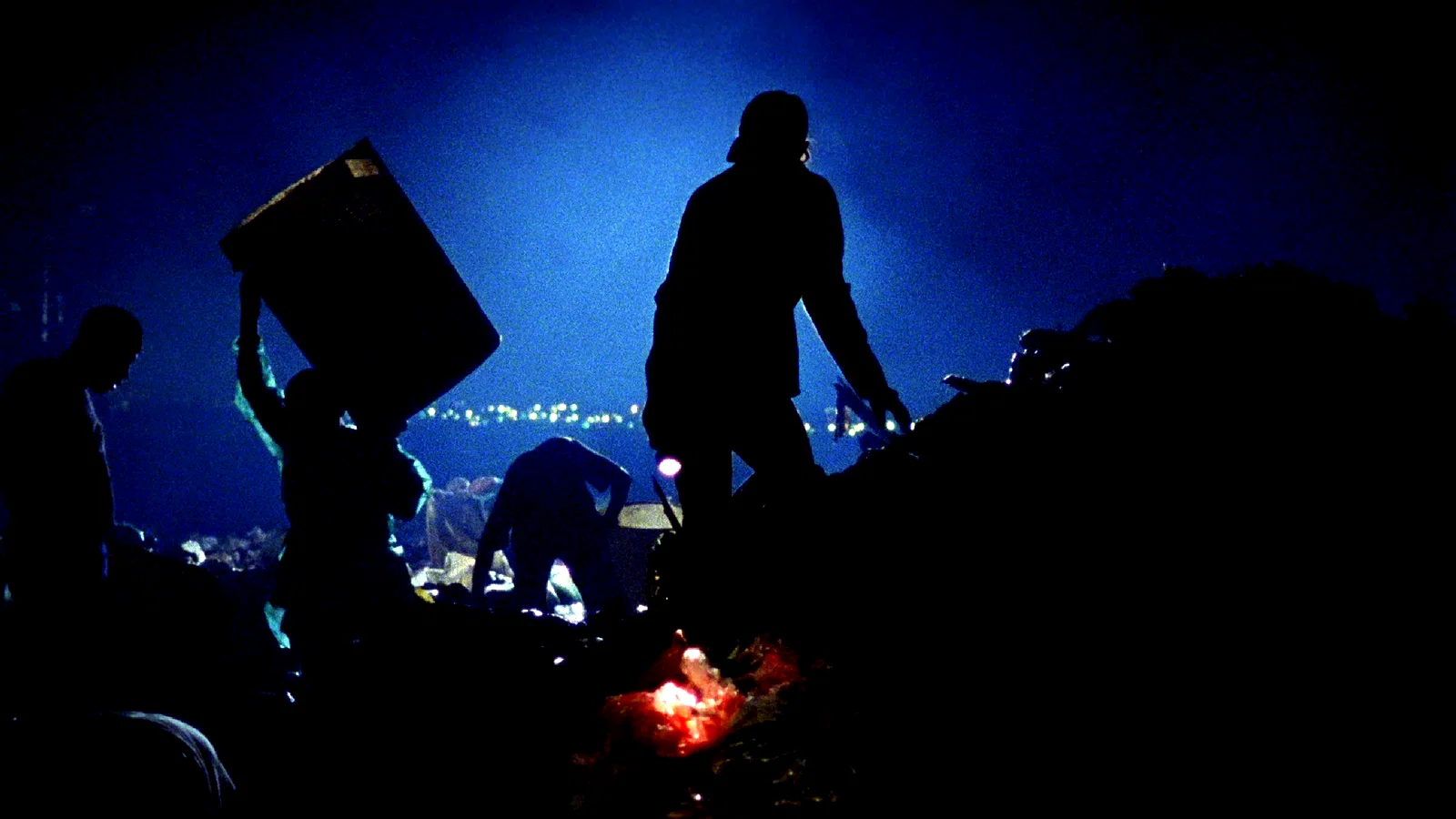 Photo 19 du film : Waste Land