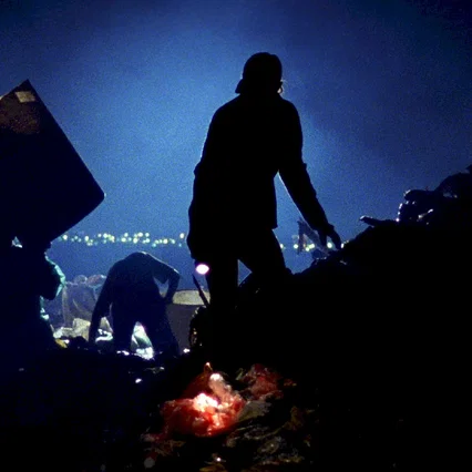 Miniature photo du film : Waste Land