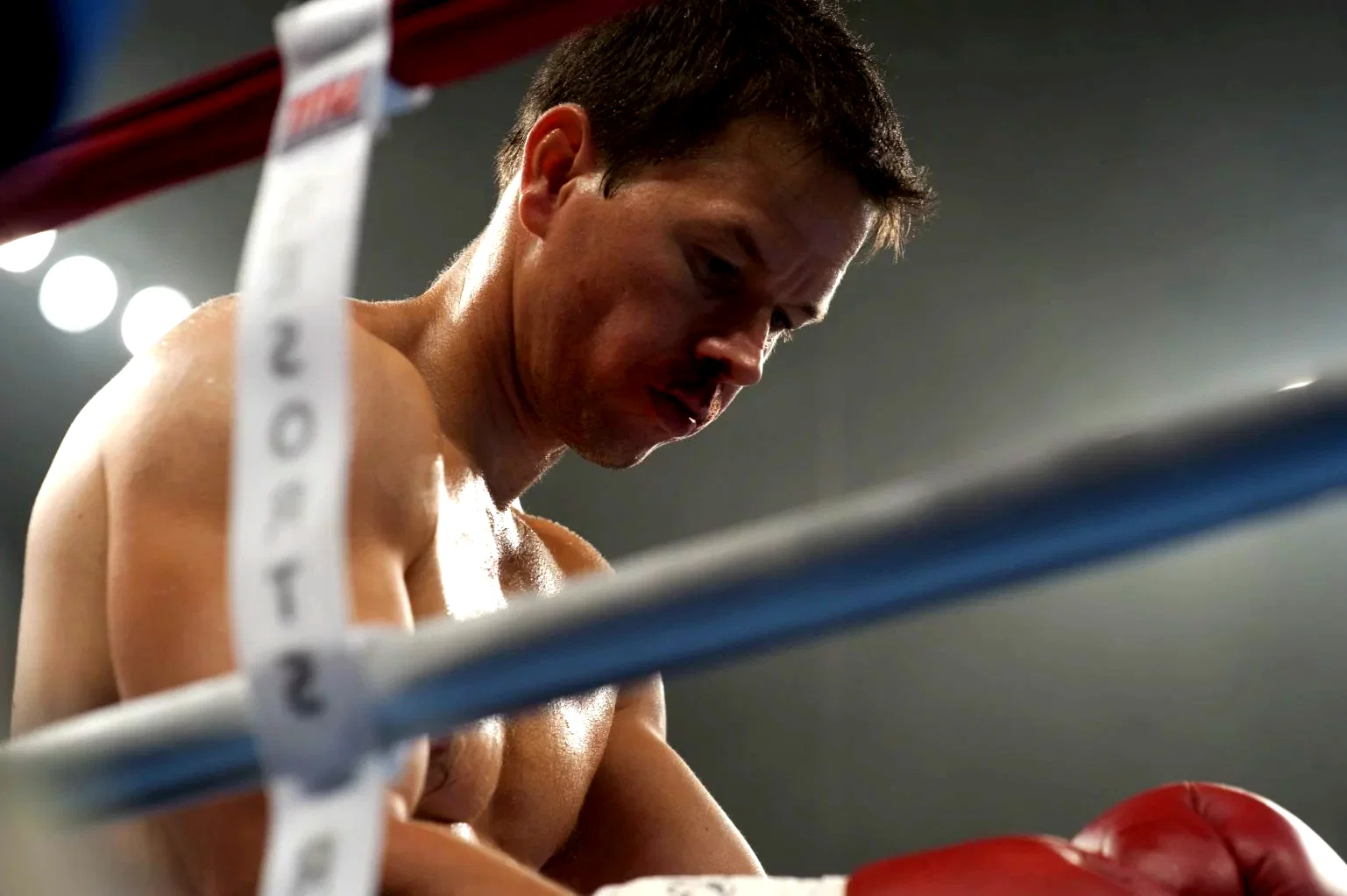 Photo 2 du film : Fighter