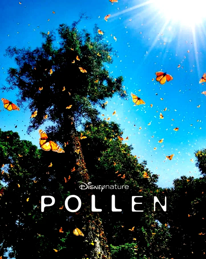 Photo 2 du film : Pollen