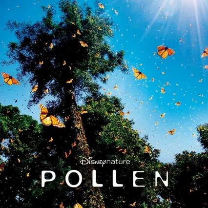 Miniature photo du film : Pollen