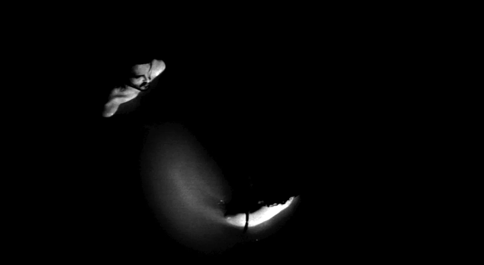 Photo 2 du film : Dharma Guns (La succession Starkov)