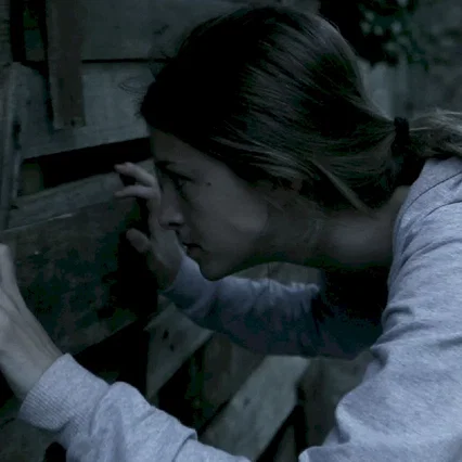 Miniature photo du film : The Silent house 