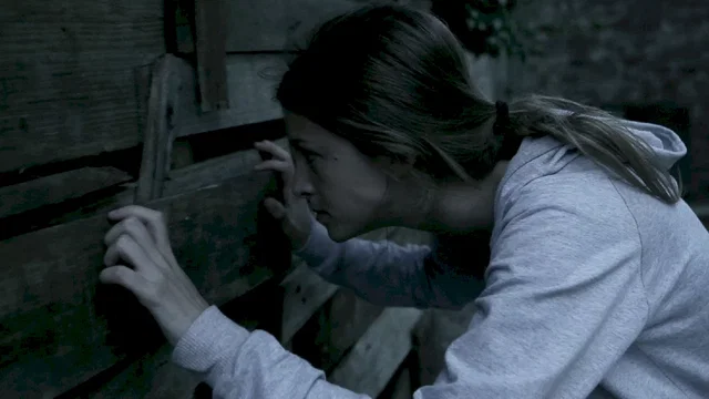 Photo 3 du film : The Silent house 