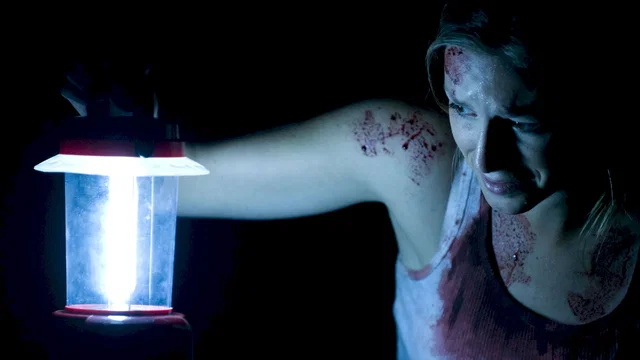 Photo 10 du film : The Silent house 