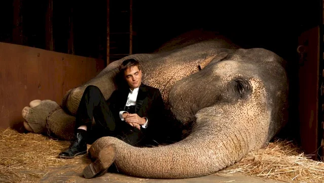 Photo 6 du film : De l'eau pour les éléphants