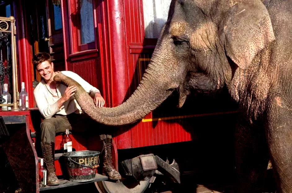 Photo 7 du film : De l'eau pour les éléphants