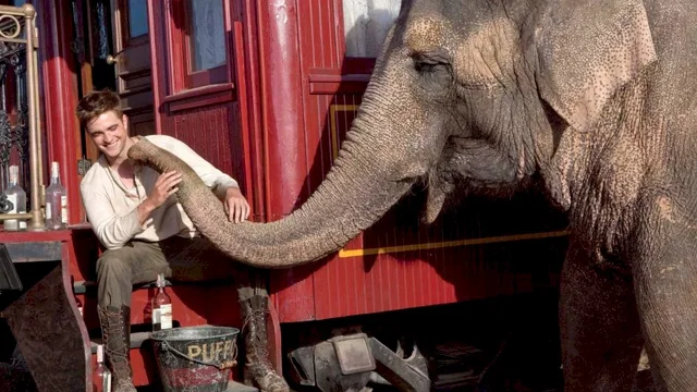 Photo 7 du film : De l'eau pour les éléphants