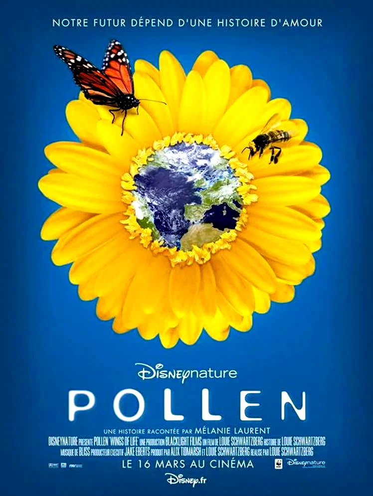 Affiche du film : Pollen