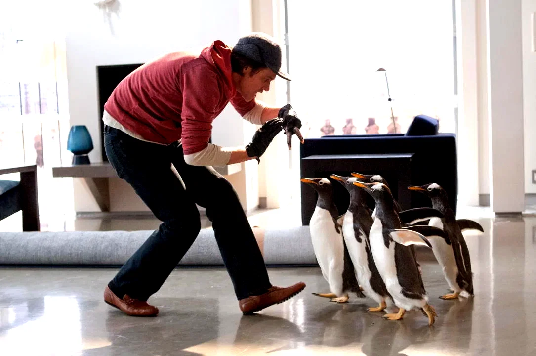 Photo 2 du film : M. Popper et ses pingouins
