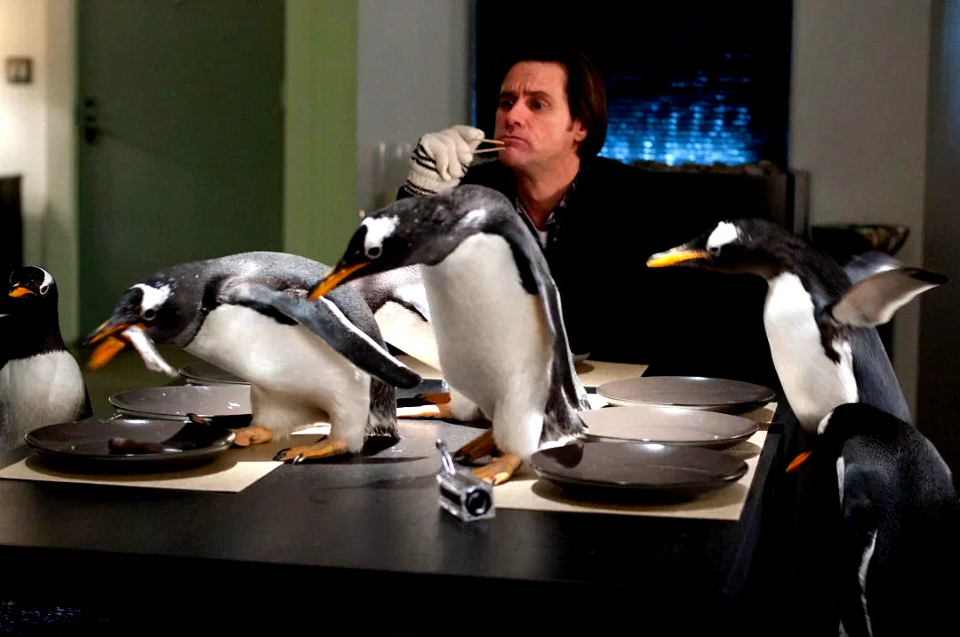 Photo 3 du film : M. Popper et ses pingouins