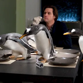 Photo du film : M. Popper et ses pingouins