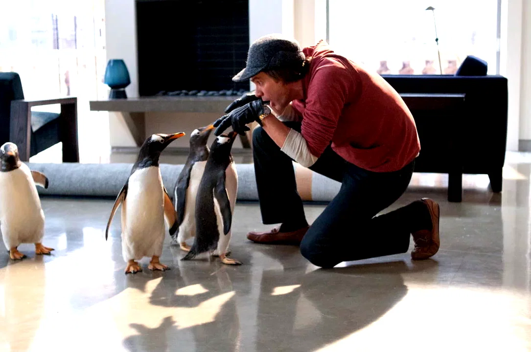 Photo 6 du film : M. Popper et ses pingouins