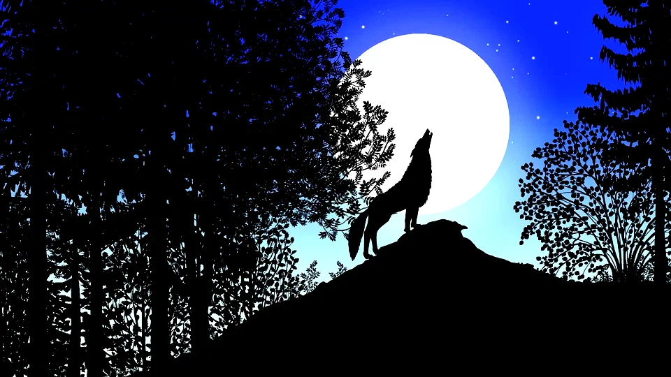 Photo 9 du film : Les contes de la nuit