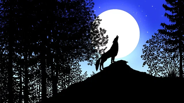 Photo du film : Les contes de la nuit