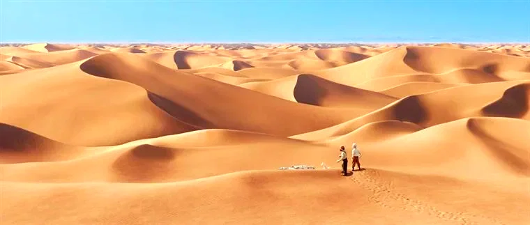 Photo 4 du film : Les aventures de Tintin : Le secret de la Licorne