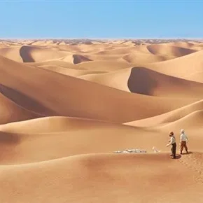 Photo du film : Les aventures de Tintin : Le secret de la Licorne