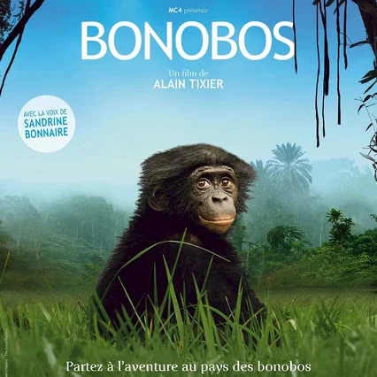Miniature photo du film : Bonobos