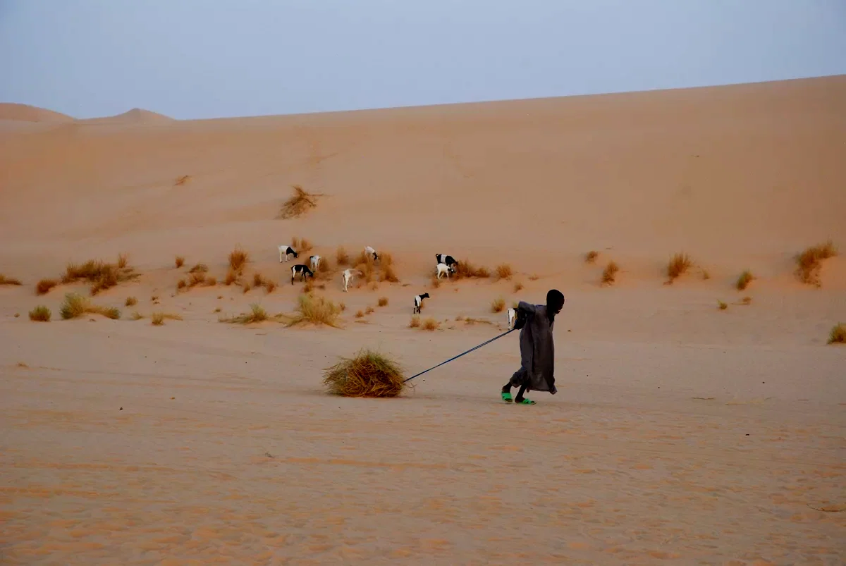 Photo 2 du film : Vents de sable, femmes de roc