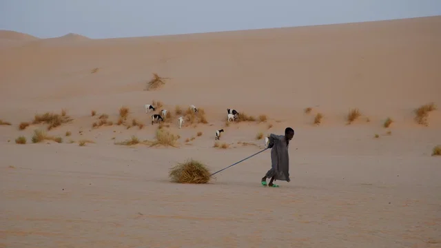Photo du film : Vents de sable, femmes de roc