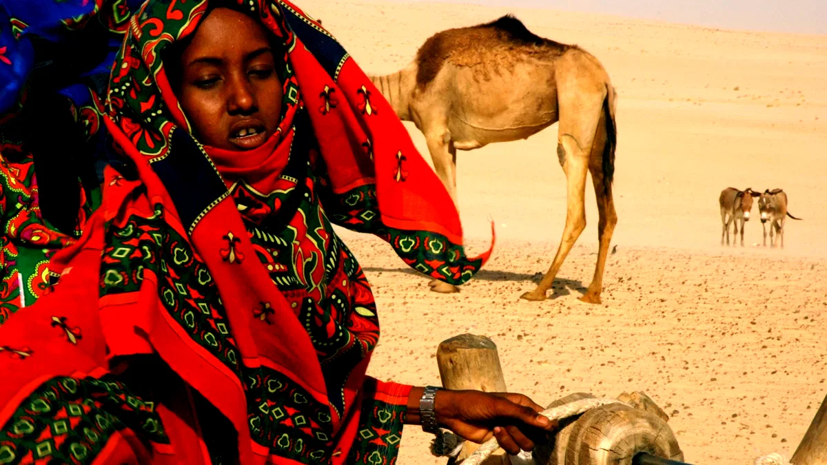 Photo 7 du film : Vents de sable, femmes de roc