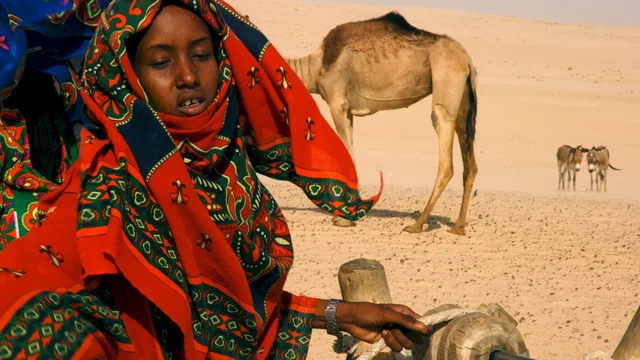 Photo du film : Vents de sable, femmes de roc