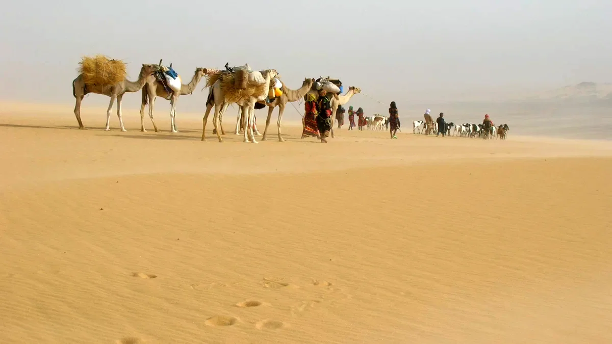 Photo 8 du film : Vents de sable, femmes de roc