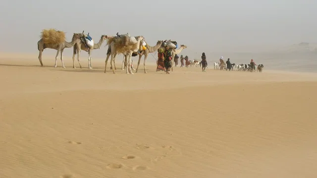Photo du film : Vents de sable, femmes de roc