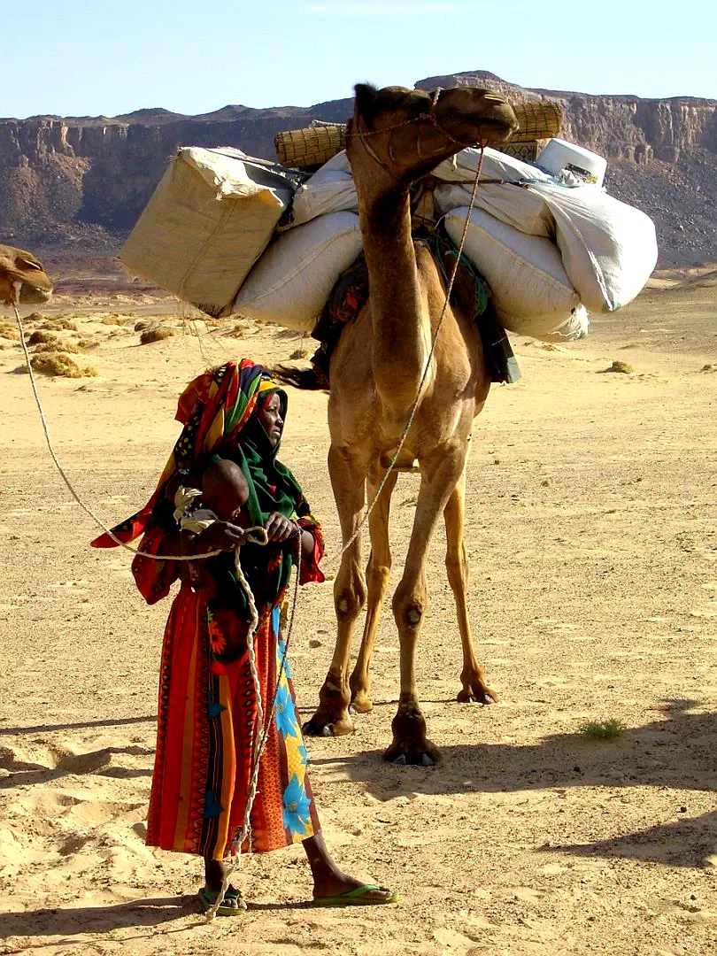 Photo 15 du film : Vents de sable, femmes de roc