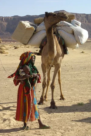 Photo du film : Vents de sable, femmes de roc