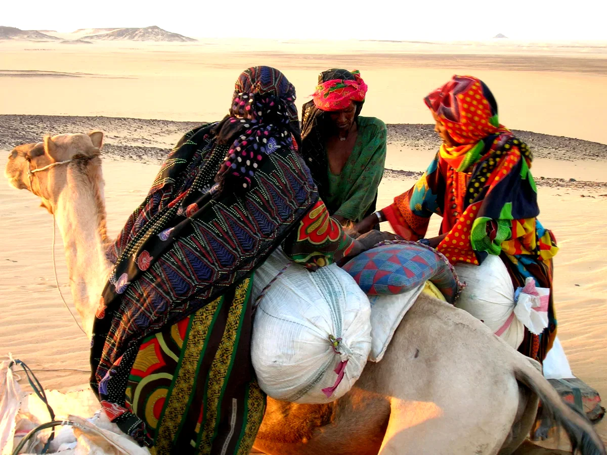 Photo 9 du film : Vents de sable, femmes de roc