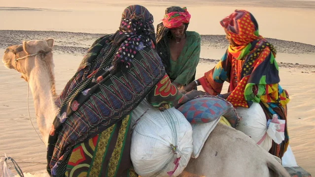Photo du film : Vents de sable, femmes de roc